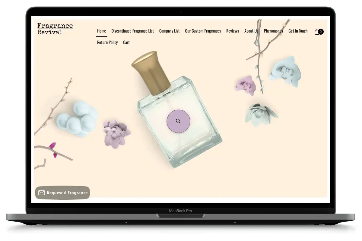 website development agency Portfolio